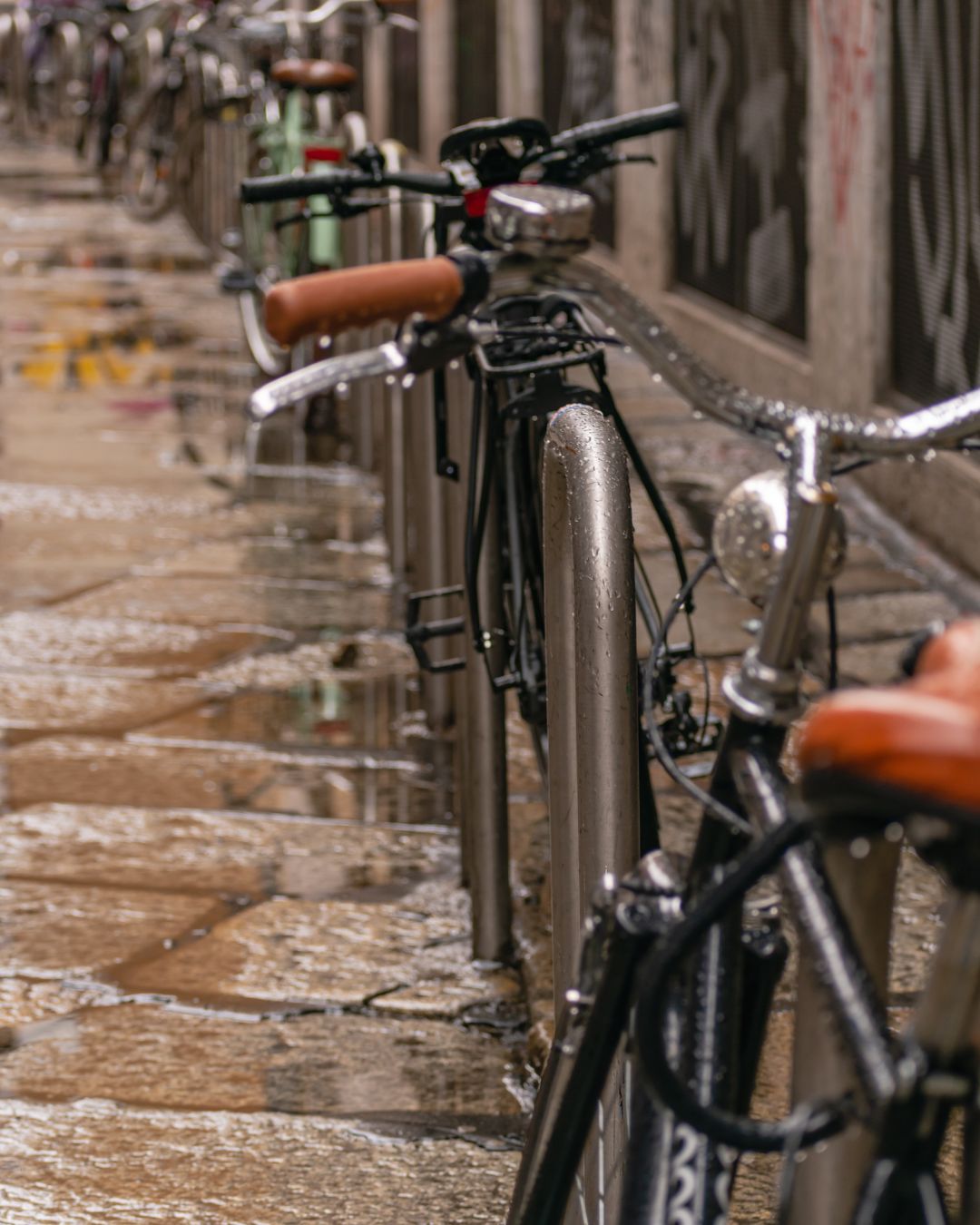 A row of bicycles along a street in Milan — raindrops glisten on the bikes’ silver frames