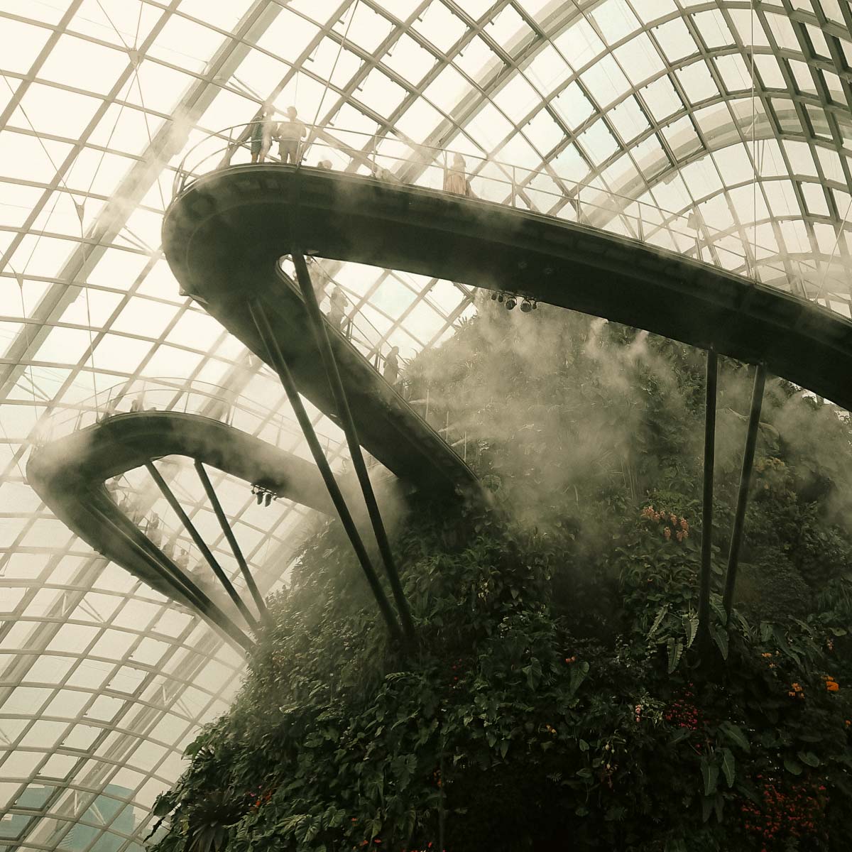Creating artificial mist amid the metal skybridge in Flower Dome in Singapore.